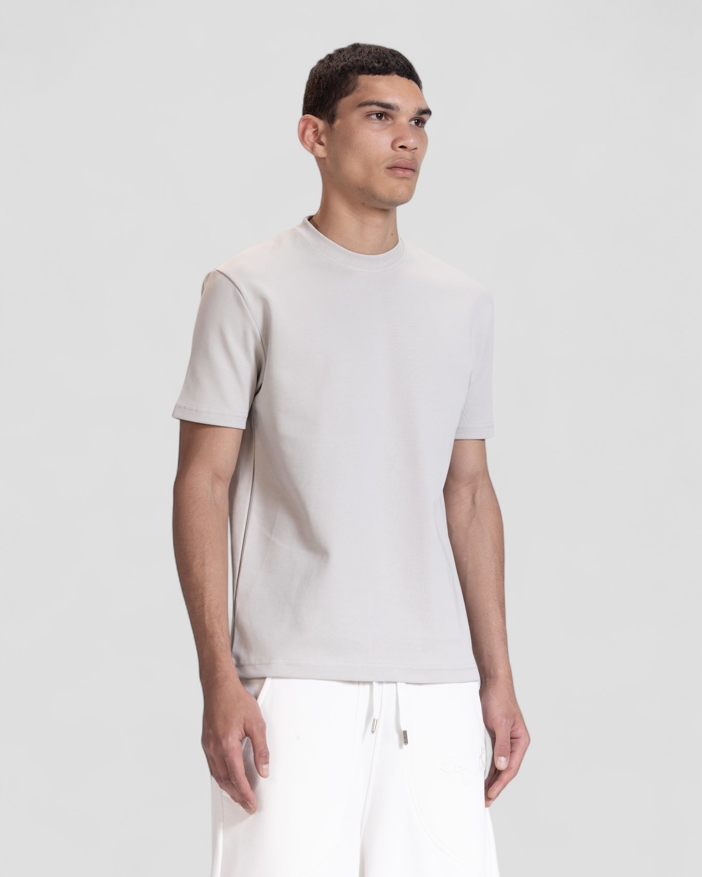 The Perfect Blank Light Grey Regular Fit Tshirt