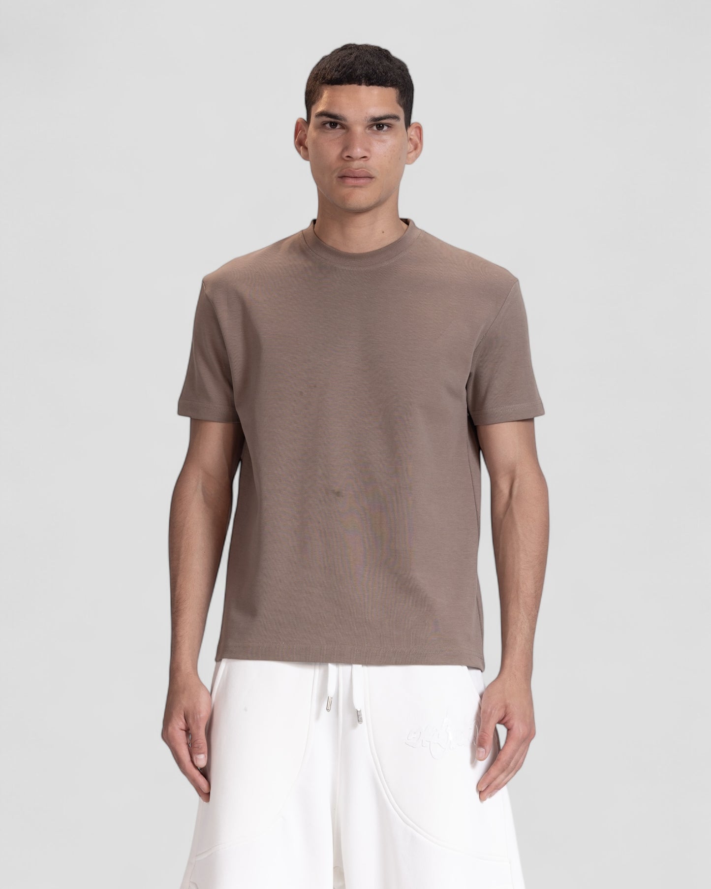 The Perfect Blank Brown Regular Fit Tshirt V1
