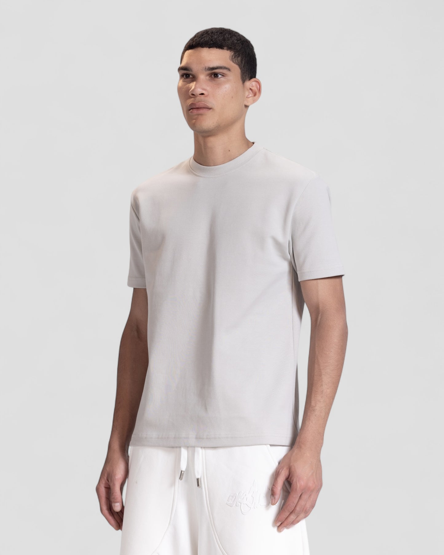 The Perfect Blank Light Grey Regular Fit Tshirt