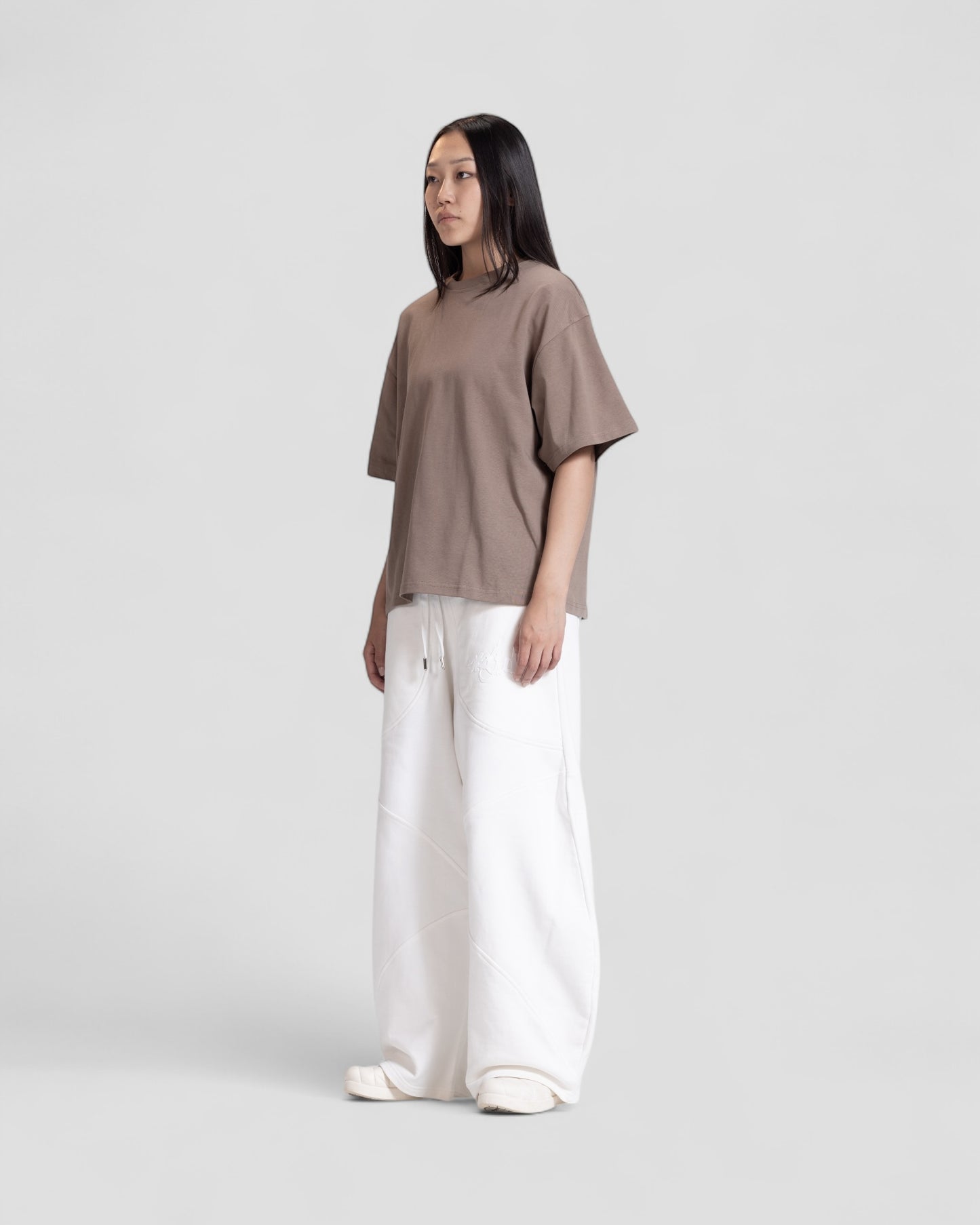 The Perfect Blank Brown Boxy Tshirt