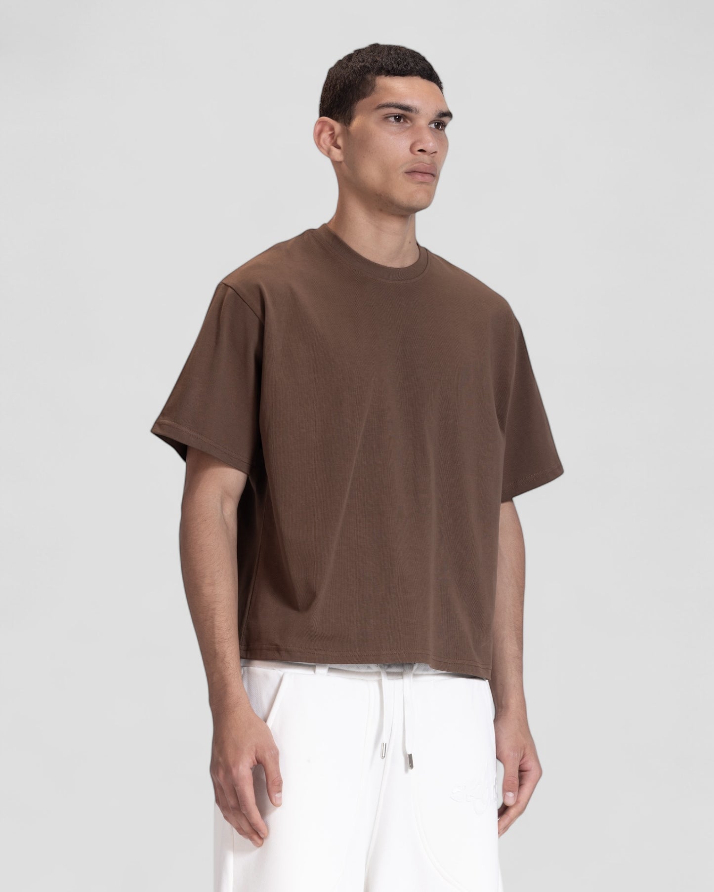 The Perfect Blank Dark Brown Boxy Tshirt