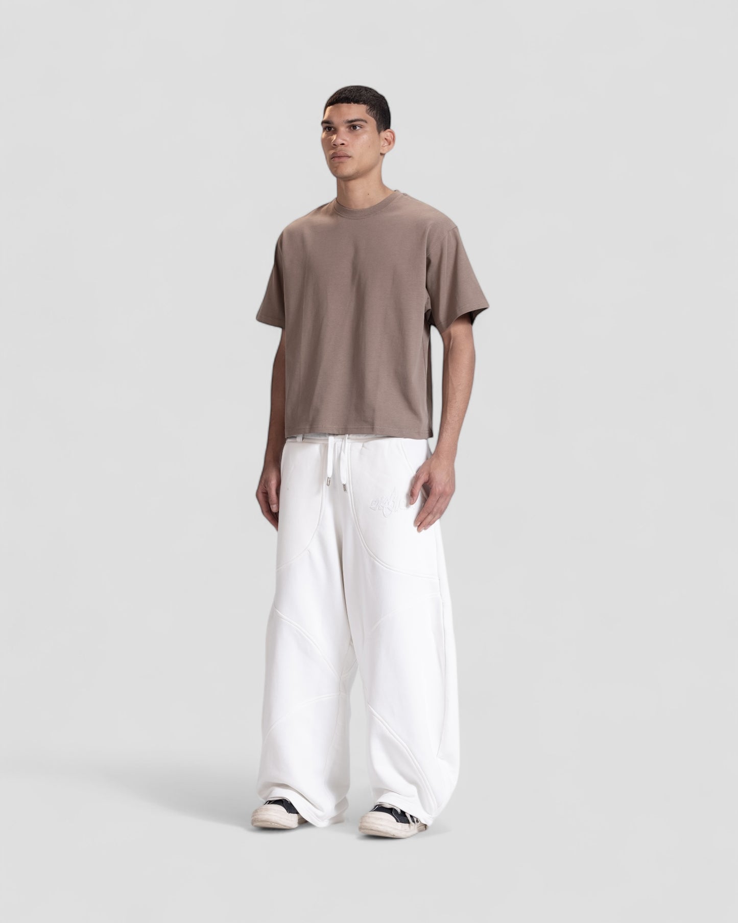 The Perfect Blank Brown Boxy Tshirt