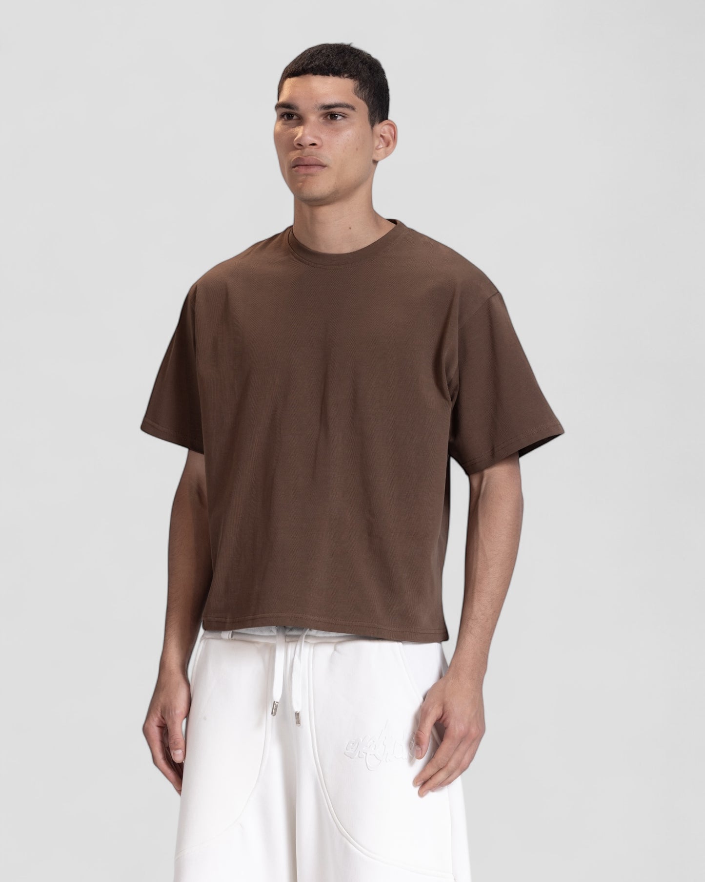 The Perfect Blank Dark Brown Boxy Tshirt