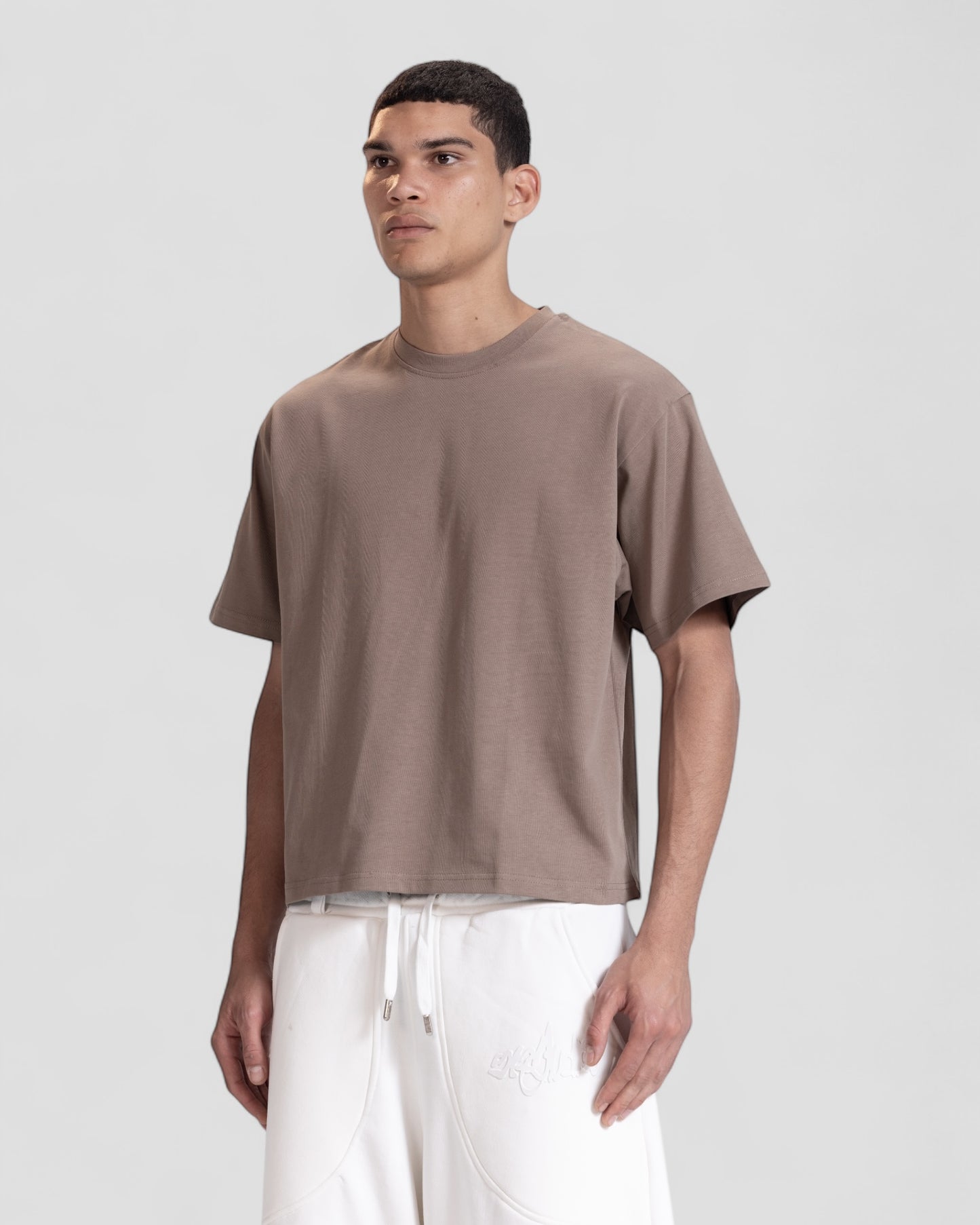 The Perfect Blank Brown Boxy Tshirt