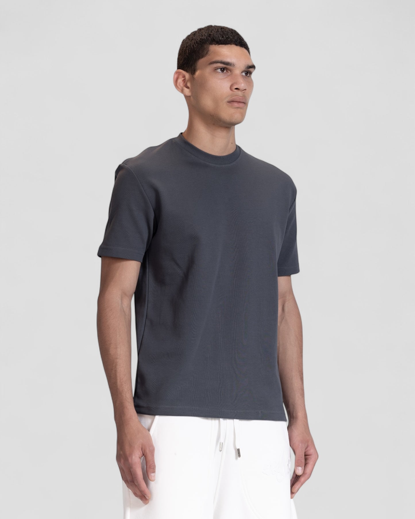 The Perfect Blank Dark Grey Regular Fit Tshirt
